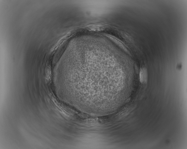 X0000116151444200912141146