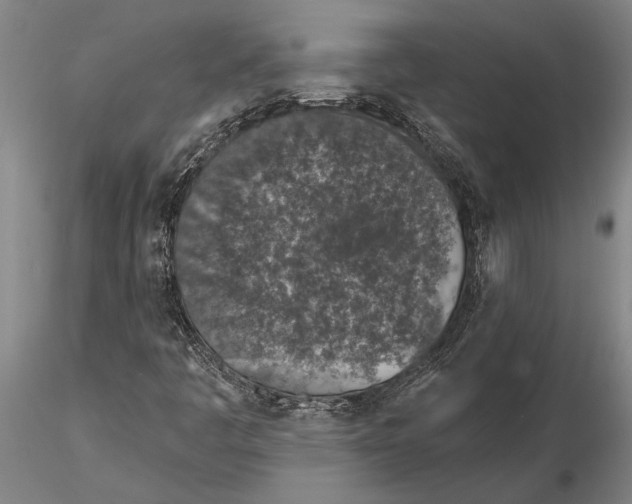 X0000116151445200912141146