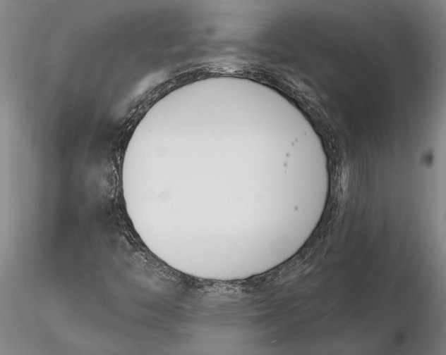 X0000116151446200912141146