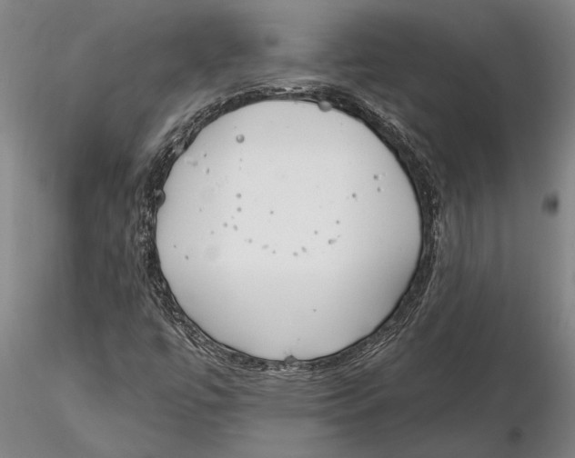 X0000116151447200912141146