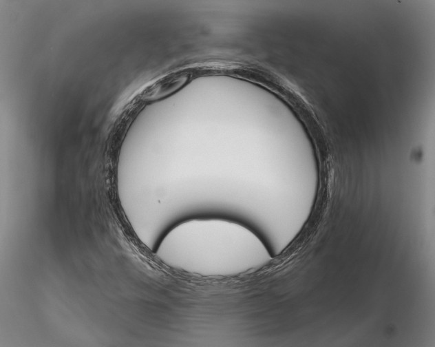 X0000116151448200912141146