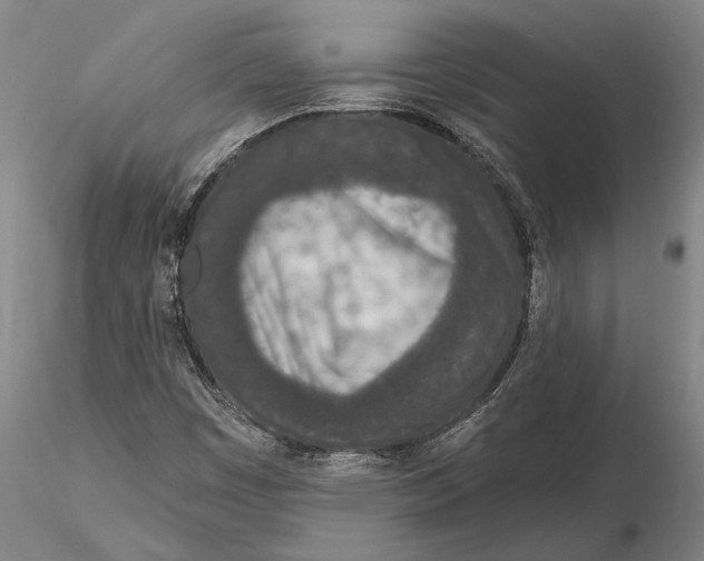 X0000116151449200912141146