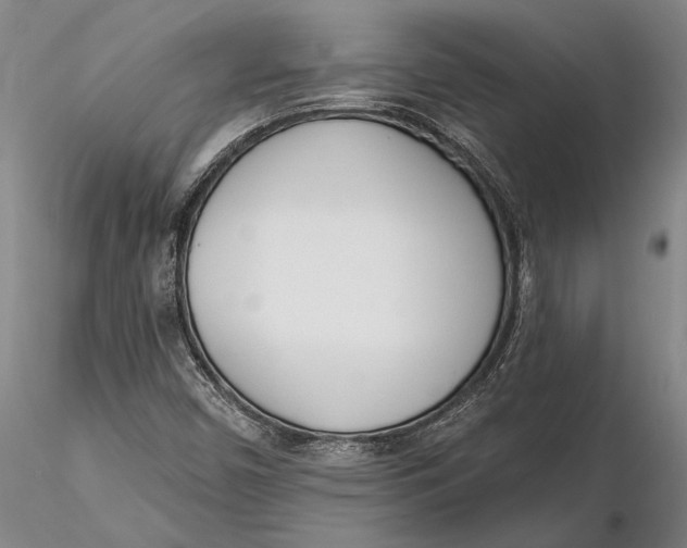 X0000116151450200912141146