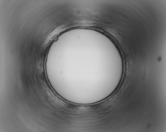 X0000116151451200912141146