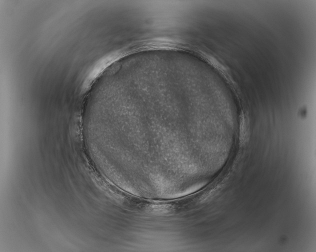 X0000116151453200912141146