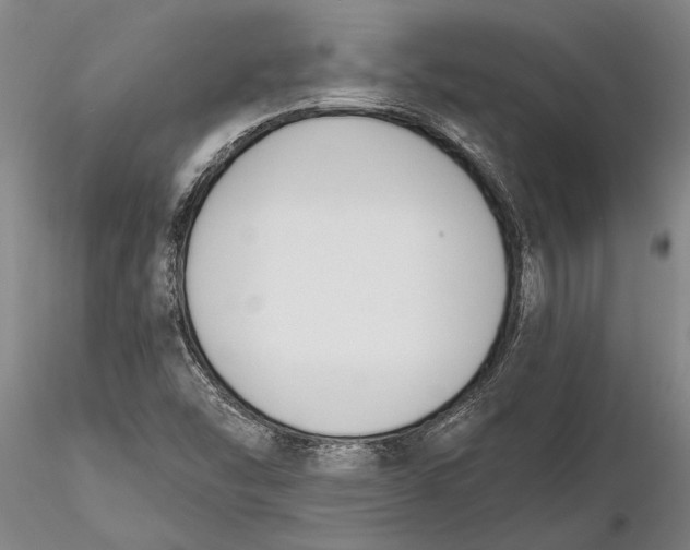 X0000116151454200912141146