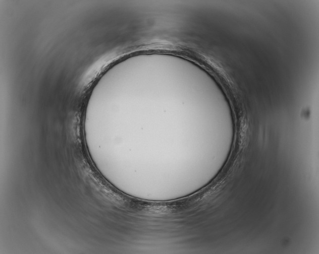 X0000116151455200912141146