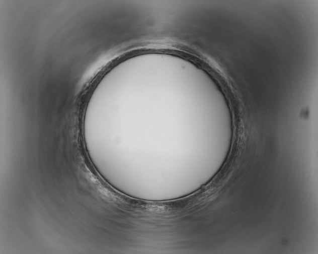 X0000116151456200912141146