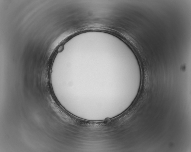 X0000116151458200912141146