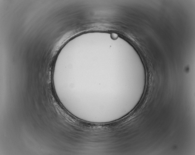 X0000116151459200912141145