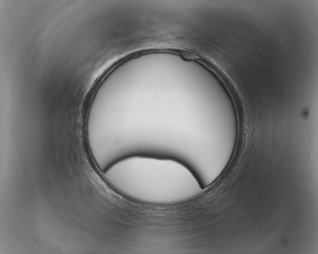 X0000116151460200912141145