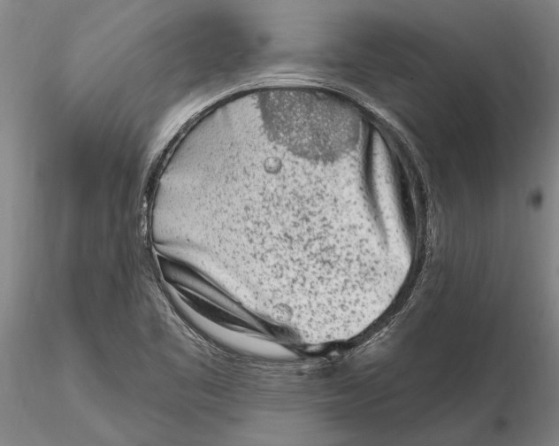 X0000116151461200912141145