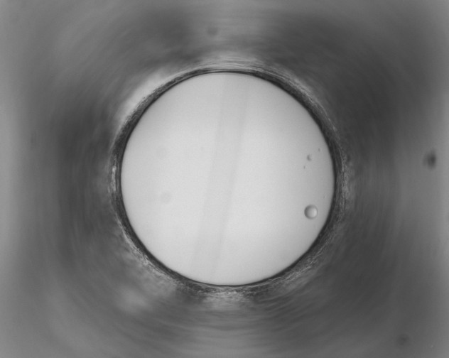 X0000116151462200912141145