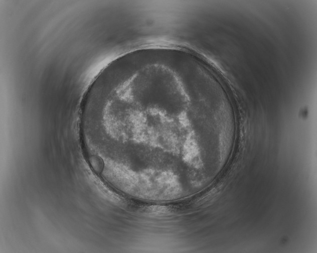 X0000116151463200912141145