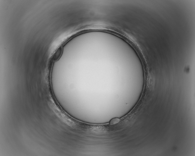 X0000116151464200912141145