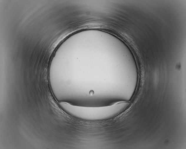 X0000116151465200912141145