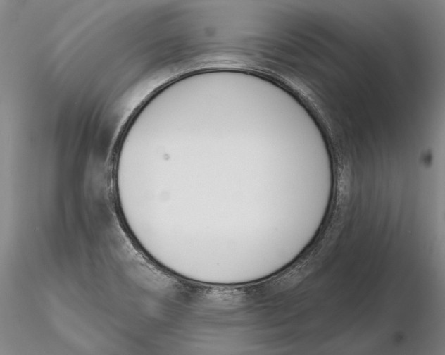 X0000116151466200912141145