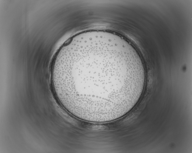 X0000116151467200912141145