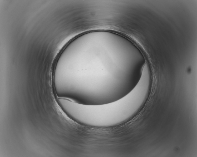 X0000116151468200912141145