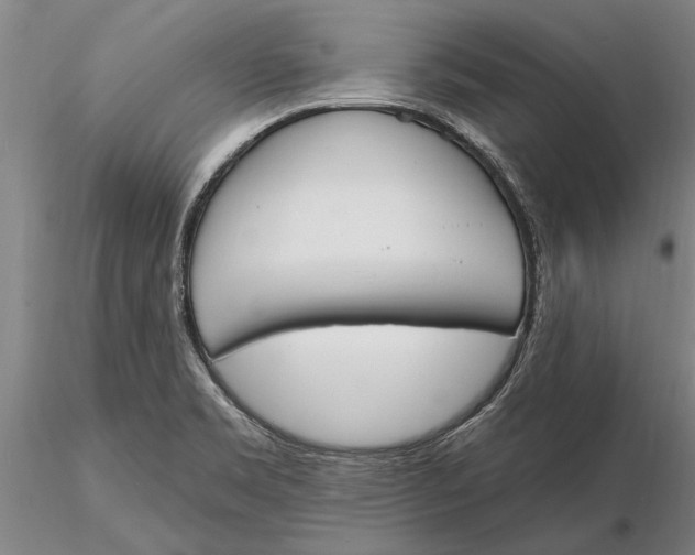 X0000116151469200912141145