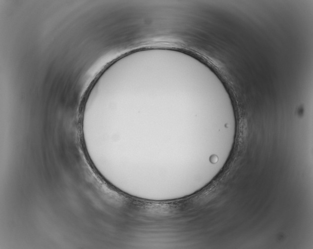 X0000116151470200912141145