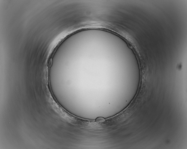 X0000116151472200912141145