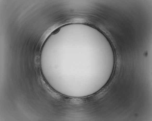 X0000116151473200912141145