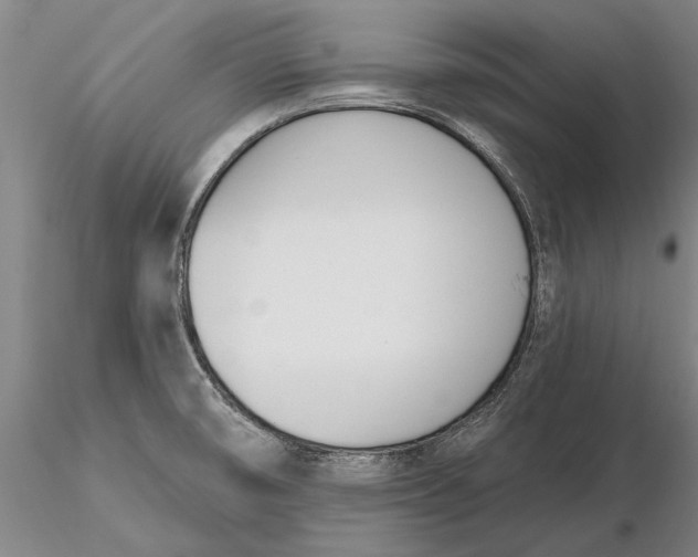 X0000116151474200912141145