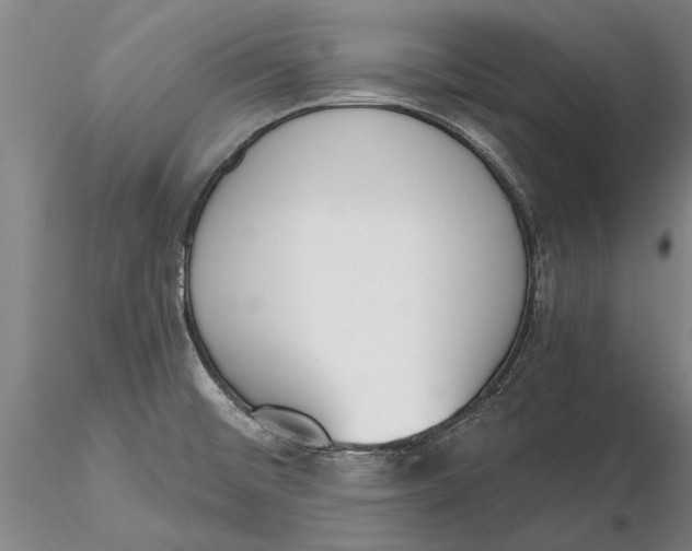 X0000116151476200912141145