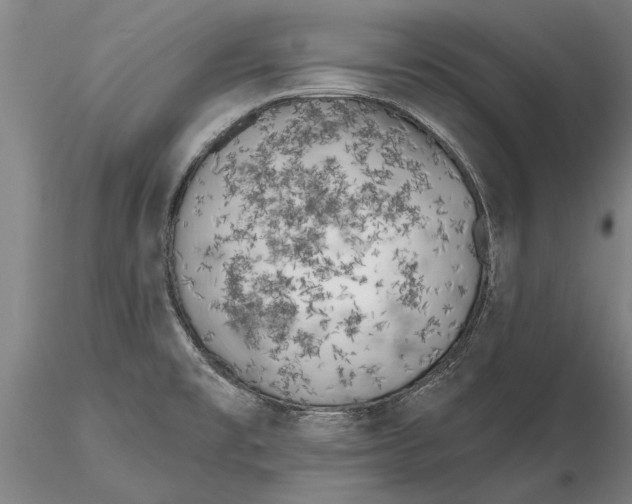 X0000116151477200912141145