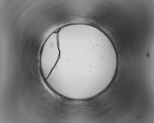 X0000116151479200912141145