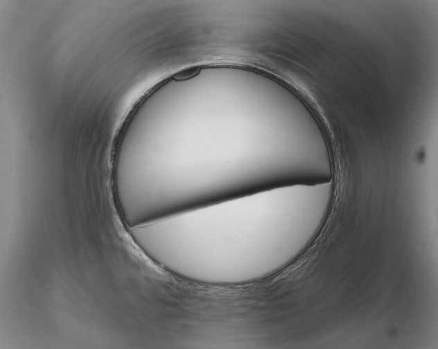 X0000116151480200912141145