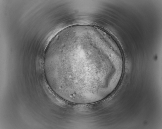 X0000116151481200912141145