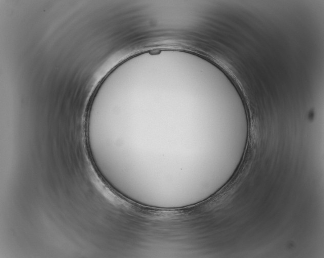 X0000116151482200912141145