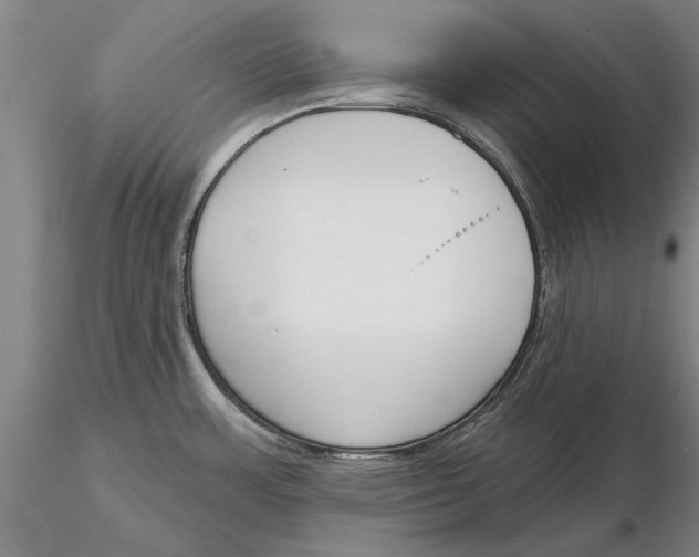 X0000116151483200912141145