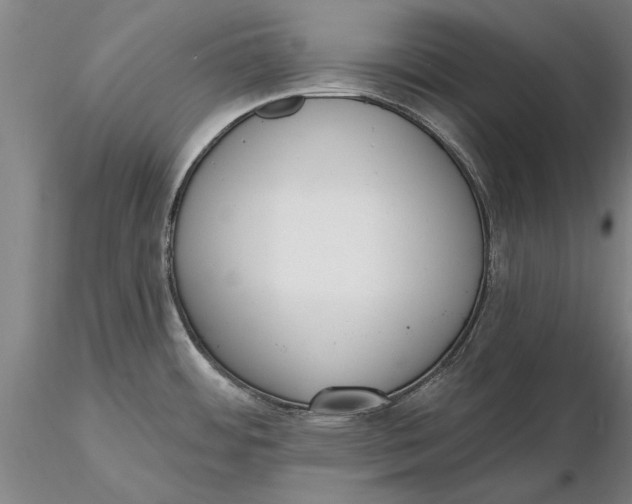 X0000116151484200912141145