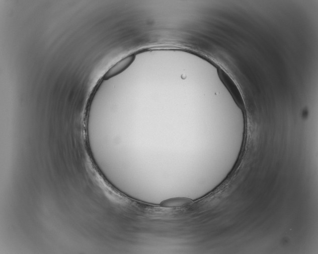 X0000116151485200912141145