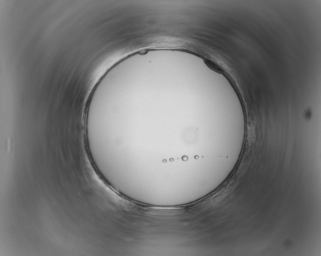 X0000116151487200912141145