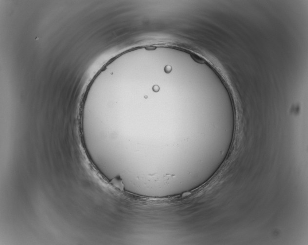 X0000116151488200912141145