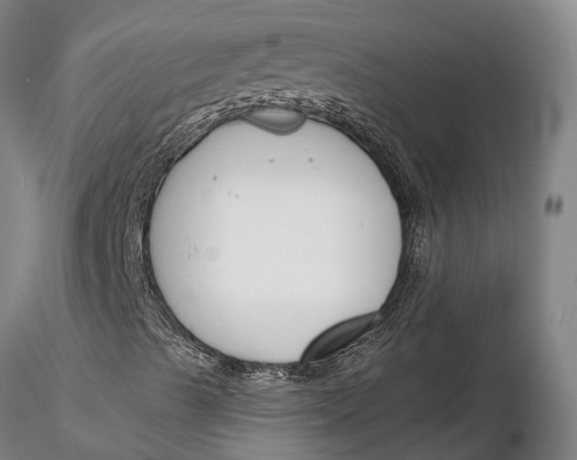 X0000116151489200912141144