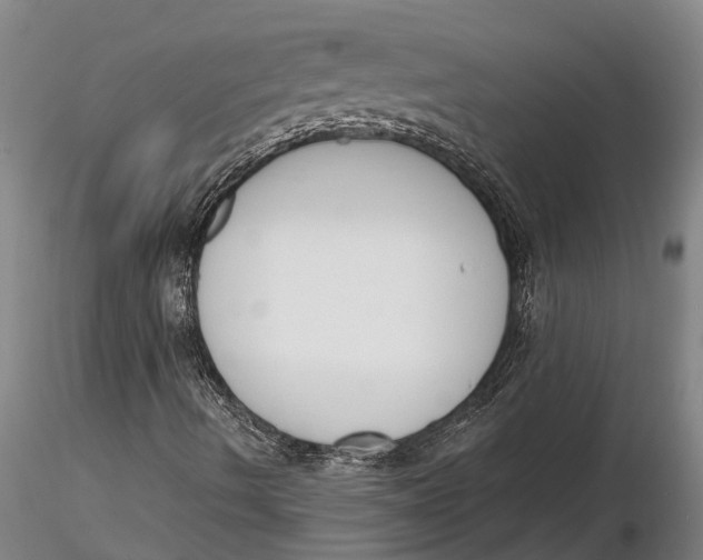 X0000116151490200912141144