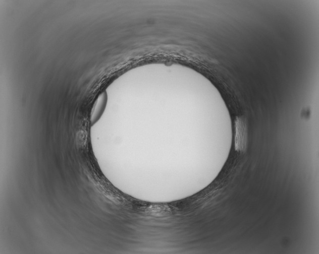 X0000116151491200912141144