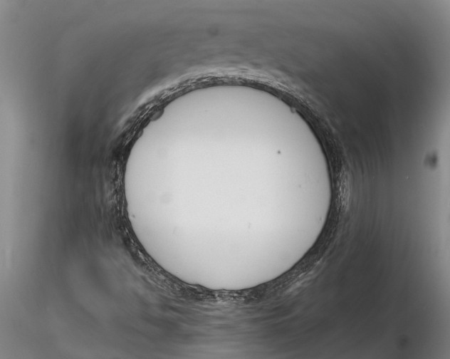 X0000116151494200912141144