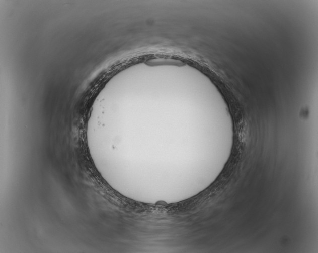 X0000116151495200912141144