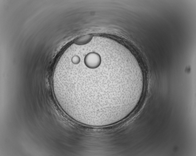 X0000116151497200912141144