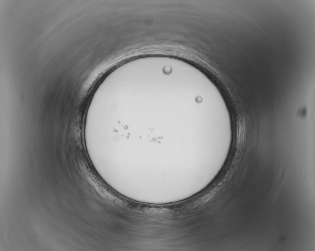 X0000116151498200912141144