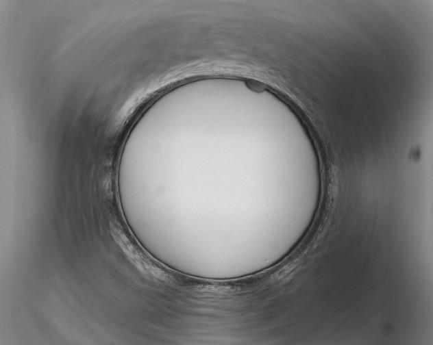 X0000116151499200912141144