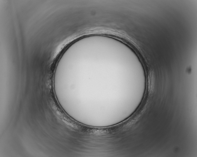 X0000116151501200912141144