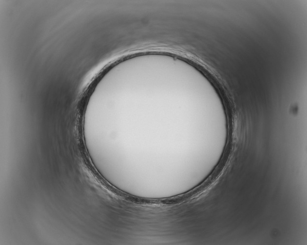 X0000116151502200912141144