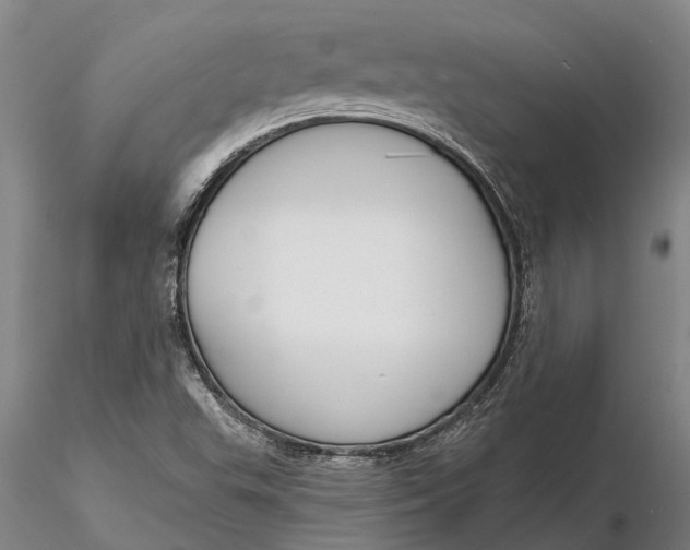 X0000116151503200912141144